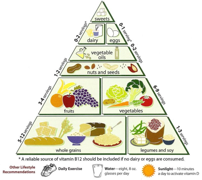 kid's food pyramid | Energise Kids | Energise Kids